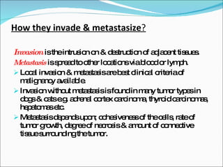 How they invade & metastasize ? Invasion   is the intrusion on & destruction of adjacent tissues. Metastasis  is spread to other locations via blood or lymph. Local invasion & metastasis are best clinical criteria of malignancy available. Invasion without metastasis is found in many tumor types in dogs & cats e.g. adrenal cortex carcinoma, thyroid carcinomas, hepatomas etc. Metastasis depends upon; cohesiveness of the cells, rate of tumor growth, degree of necrosis & amount of connective tissue surrounding the tumor. 