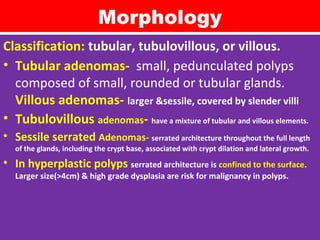 Morphology
Classification: tubular, tubulovillous, or villous.
• Tubular adenomas- small, pedunculated polyps
composed of small, rounded or tubular glands.
Villous adenomas- larger &sessile, covered by slender villi
• Tubulovillous adenomas- have a mixture of tubular and villous elements.
• Sessile serrated Adenomas- serrated architecture throughout the full length
of the glands, including the crypt base, associated with crypt dilation and lateral growth.

• In hyperplastic polyps serrated architecture is confined to the surface.
Larger size(>4cm) & high grade dysplasia are risk for malignancy in polyps.

 