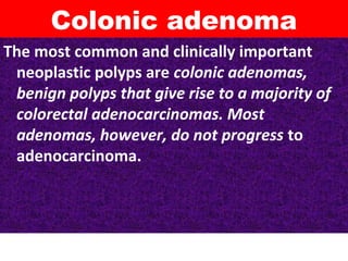 Colonic adenoma
The most common and clinically important
neoplastic polyps are colonic adenomas,
benign polyps that give rise to a majority of
colorectal adenocarcinomas. Most
adenomas, however, do not progress to
adenocarcinoma.

 