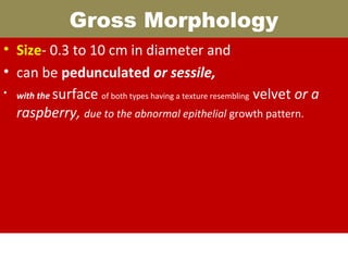 Gross Morphology
• Size- 0.3 to 10 cm in diameter and
• can be pedunculated or sessile,
• with the surface of both types having a texture resembling velvet or a
raspberry, due to the abnormal epithelial growth pattern.

 