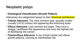 Neoplastic polyps and Colorectal carcinoma | PPTX
