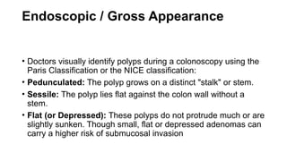 Nice Classification Polyps Neoplastic polyps and Colorectal carcinoma | PPTX