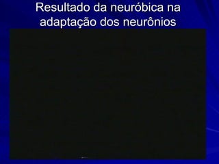 Resultado da neuróbica na adaptação dos neurônios 