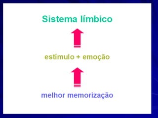 Casa dos sentimentos Hemisfério cerebral Desenvolvimento dos sentidos 