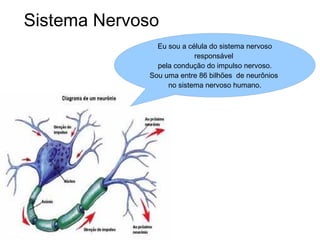 Sistema Nervoso Eu sou a célula do sistema nervoso responsável  pela condução do impulso nervoso. Sou uma entre 86 bilhões  de neurônios  no sistema nervoso humano. 