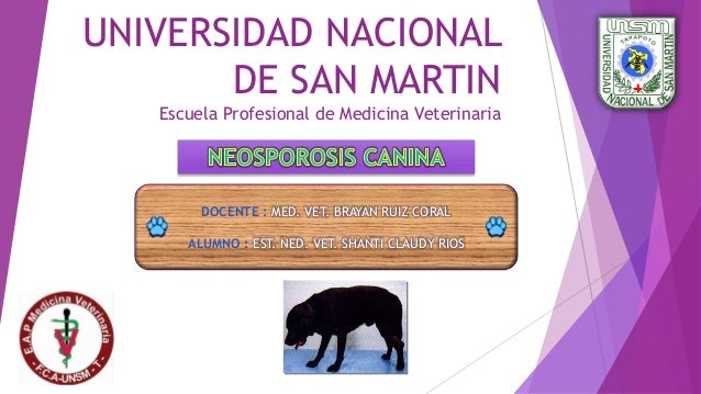 Neosporosis