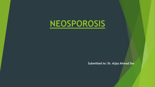 NEOSPOROSIS
Submitted to: Dr. Aijaz Ahmad Dar
 