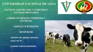 UNIVERSIDAD NACIONAL DE LOJA
FACULTAD AGROPECUARIA Y DE RECURSOS
NATURALES RENOVABLES
CARRERA DE MEDICINA VETERINARIA Y
ZOOTECNIA
SANIDAD DE RUMIANTES
NEOSPOROSIS
DOCENTE: DR. MANUEL QUEZADA
CICLO: VIII “A”
ALUMNO: CARLOS SOZORANGA
 