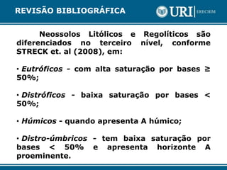 Neossolos Litólicos e Regolíticos são
diferenciados no terceiro nível, conforme
STRECK et. al (2008), em:
• Eutróficos - com alta saturação por bases ≥
50%;
• Distróficos - baixa saturação por bases <
50%;
• Húmicos - quando apresenta A húmico;
• Distro-úmbricos - tem baixa saturação por
bases < 50% e apresenta horizonte A
proeminente.
REVISÃO BIBLIOGRÁFICA
 