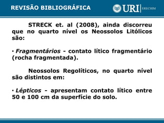STRECK et. al (2008), ainda discorreu
que no quarto nível os Neossolos Litólicos
são:
• Fragmentários - contato lítico fragmentário
(rocha fragmentada).
Neossolos Regolíticos, no quarto nível
são distintos em:
• Lépticos - apresentam contato lítico entre
50 e 100 cm da superfície do solo.
REVISÃO BIBLIOGRÁFICA
 
