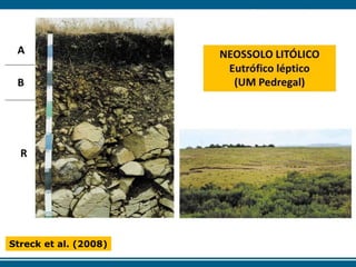 Streck et al. (2008)
 