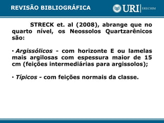 STRECK et. al (2008), abrange que no
quarto nível, os Neossolos Quartzarênicos
são:
• Argissólicos - com horizonte E ou lamelas
mais argilosas com espessura maior de 15
cm (feições intermediárias para argissolos);
• Típicos - com feições normais da classe.
REVISÃO BIBLIOGRÁFICA
 