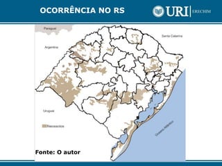 Fonte: O autor
OCORRÊNCIA NO RS
 