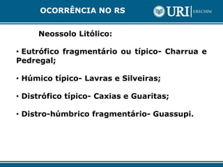 Neossolo Litólico:
• Eutrófico fragmentário ou típico- Charrua e
Pedregal;
• Húmico típico- Lavras e Silveiras;
• Distrófico típico- Caxias e Guaritas;
• Distro-húmbrico fragmentário- Guassupi.
OCORRÊNCIA NO RS
 