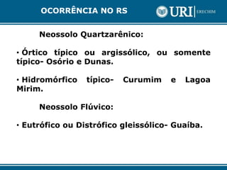 Neossolo Quartzarênico:
• Órtico típico ou argissólico, ou somente
típico- Osório e Dunas.
• Hidromórfico típico- Curumim e Lagoa
Mirim.
Neossolo Flúvico:
• Eutrófico ou Distrófico gleissólico- Guaíba.
OCORRÊNCIA NO RS
 