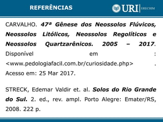 REFERÊNCIAS
CARVALHO. 47ª Gênese dos Neossolos Flúvicos,
Neossolos Litólicos, Neossolos Regolíticos e
Neossolos Quartzarênicos. 2005 – 2017.
Disponível em :
<www.pedologiafacil.com.br/curiosidade.php> .
Acesso em: 25 Mar 2017.
STRECK, Edemar Valdir et. al. Solos do Rio Grande
do Sul. 2. ed., rev. ampl. Porto Alegre: Emater/RS,
2008. 222 p.
 