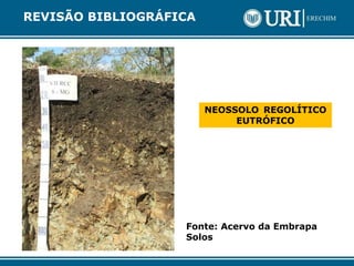 NEOSSOLO REGOLÍTICO
EUTRÓFICO
Fonte: Acervo da Embrapa
Solos
REVISÃO BIBLIOGRÁFICA
 