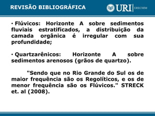 • Flúvicos: Horizonte A sobre sedimentos
fluviais estratificados, a distribuição da
camada orgânica é irregular com sua
profundidade;
• Quartzarênicos: Horizonte A sobre
sedimentos arenosos (grãos de quartzo).
"Sendo que no Rio Grande do Sul os de
maior frequência são os Regolíticos, e os de
menor frequência são os Flúvicos." STRECK
et. al (2008).
REVISÃO BIBLIOGRÁFICA
 