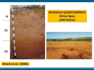 Streck et al. (2008)
 