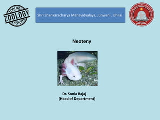 Shri Shankaracharya Mahavidyalaya, Junwani , Bhilai
Neoteny
Dr. Sonia Bajaj
(Head of Department)