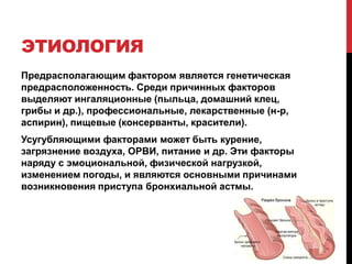 ЭТИОЛОГИЯ
Предрасполагающим фактором является генетическая
предрасположенность. Среди причинных факторов
выделяют ингаляционные (пыльца, домашний клец,
грибы и др.), профессиональные, лекарственные (н-р,
аспирин), пищевые (консерванты, красители).
Усугубляющими факторами может быть курение,
загрязнение воздуха, ОРВИ, питание и др. Эти факторы
наряду с эмоциональной, физической нагрузкой,
изменением погоды, и являются основными причинами
возникновения приступа бронхиальной астмы.
 