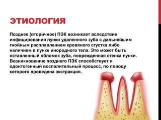 ЭТИОЛОГИЯ
Позднее (вторичное) ПЭК возникает вследствие
инфицирования лунки удаленного зуба с дальнейшим
гнойным расплавлением кровяного сгустка либо
наличием в лунке инородного тела. Это может быть
оставленный обломок зуба, поврежденная стенка лунки.
Возникновению позднего ПЭК способствует и
одонтогенный воспалительный процесс, по поводу
которого проведена экстракция.
 