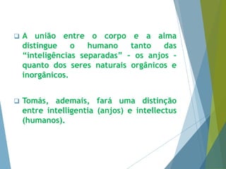  A união entre o corpo e a alma 
distingue o humano tanto das 
“inteligências separadas” – os anjos – 
quanto dos seres naturais orgânicos e 
inorgânicos. 
 Tomás, ademais, fará uma distinção 
entre intelligentia (anjos) e intellectus 
(humanos). 
 