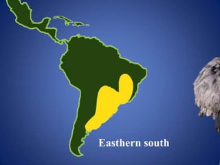 Easthern south
 