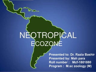 ECOZONE
Presented to: Dr. Razia Bashir
Presented by: Mah para
Roll number : Mcf-1801880
Program : M.sc zoology (M)
 