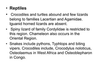 Neotropical ecozone.pptx
