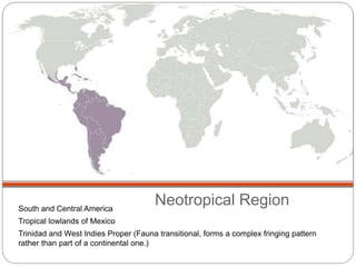 Neotropical Region 
South and Central America 
Tropical lowlands of Mexico 
Trinidad and West Indies Proper (Fauna transitional, forms a complex fringing pattern 
rather than part of a continental one.) 
 