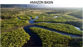 AMAZON BASIN
 