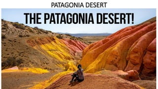 PATAGONIA DESERT
 