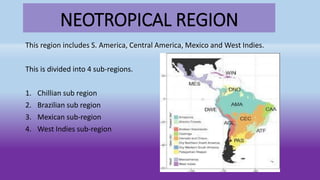 NEOTROPICAL REGION
This region includes S. America, Central America, Mexico and West Indies.
This is divided into 4 sub-regions.
1. Chillian sub region
2. Brazilian sub region
3. Mexican sub-region
4. West Indies sub-region
 