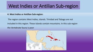 West Indies or Antilian Sub-region
4. West Indies or Antilian Sub-region:
The region contains West Indies, islands. Trinidad and Tobago are not
included in this region. These islands contain mountains. In this sub-region
the Vertebrate fauna is poor
 