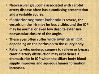 • Neovascular glaucoma associated with carotid
artery disease often has a confusing presentation
and a variable course.
• If anterior segment ischemia is severe, the
vessels on the iris may be less visible, and the IOP
may be normal or even low despite extensive
neovascular closure of the angle.
• These eyes often suffer wide swings in IOP,
depending on the perfusion to the ciliary body.
• Patients who undergo surgery to relieve or bypass
carotid artery obstruction may experience a
dramatic rise in IOP when the ciliary body blood
supply improves and aqueous humor formation
increases.
 