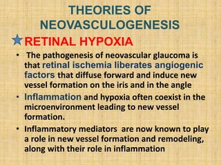 THEORIES OF
NEOVASCULOGENESIS
• RETINAL HYPOXIA
• The pathogenesis of neovascular glaucoma is
that retinal ischemia liberates angiogenic
factors that diffuse forward and induce new
vessel formation on the iris and in the angle
• Inflammation and hypoxia often coexist in the
microenvironment leading to new vessel
formation.
• Inflammatory mediators are now known to play
a role in new vessel formation and remodeling,
along with their role in inflammation
 