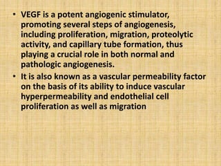 • VEGF is a potent angiogenic stimulator,
promoting several steps of angiogenesis,
including proliferation, migration, proteolytic
activity, and capillary tube formation, thus
playing a crucial role in both normal and
pathologic angiogenesis.
• It is also known as a vascular permeability factor
on the basis of its ability to induce vascular
hyperpermeability and endothelial cell
proliferation as well as migration
 