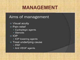 MANAGEMENT
 