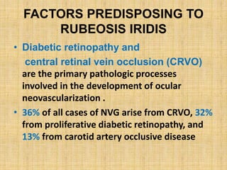 FACTORS PREDISPOSING TO
RUBEOSIS IRIDIS
• Diabetic retinopathy and
central retinal vein occlusion (CRVO)
are the primary pathologic processes
involved in the development of ocular
neovascularization .
• 36% of all cases of NVG arise from CRVO, 32%
from proliferative diabetic retinopathy, and
13% from carotid artery occlusive disease
 