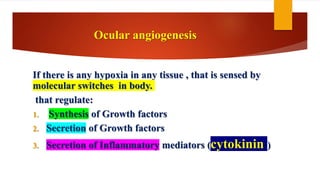 Ocular angiogenesis
If there is any hypoxia in any tissue , that is sensed by
molecular switches in body.
that regulate:
1. Synthesis of Growth factors
2. Secretion of Growth factors
3. Secretion of Inflammatory mediators (cytokinin )
 
