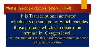 It is Transcriptional activator
which acts on such genes which encodes
those proteins which can determine
increase in Oxygen level .
And thus mediates the tissue microenvironment to adapt
in Hypoxic condition
What is Hypoxia-inducible factor-1 (HIF-1)
 