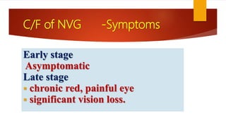C/F of NVG -Symptoms
Early stage
Asymptomatic
Late stage
 chronic red, painful eye
 significant vision loss.
 