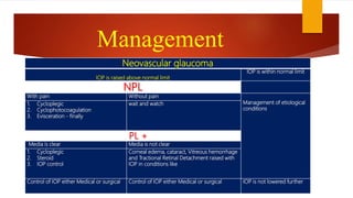 Neovascular glaucoma
IOP is raised above normal limit
IOP is within normal limit
NPL
With pain Without pain
Management of etiological
conditions
1. Cycloplegic
2. Cyclophotocoagulation
3. Evisceration - finally
wait and watch
PL +
Media is clear Media is not clear
1. Cycloplegic
2. Steroid
3. IOP control
Corneal edema, cataract, Vitreous hemorrhage
and Tractional Retinal Detachment raised with
IOP in conditions like
Control of IOP either Medical or surgical Control of IOP either Medical or surgical IOP is not lowered further
Management
 