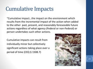 Cumulative Impacts
“Cumulative impact…the impact on the environment which
results from the incremental impact of the action when added
to the other past, present, and reasonably foreseeable future
actions regardless of what agency (Federal or non-Federal) or
person undertakes such other actions.
Cumulative impacts can result from
individually minor but collectively
significant actions taking place over a
period of time (CEQ § 1508.7)
21
 