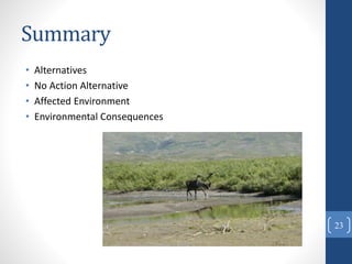 Summary
• Alternatives
• No Action Alternative
• Affected Environment
• Environmental Consequences
23
 