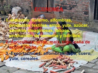 ECONOMÍA
1.-Industria: turismo, alfombras,
productos textiles, arroz, yute, azúcar,
semillas oleaginosas, tabaco,
producción de cemento y ladrillos.
2.-Agricultura: arroz, maíz, trigo, caña de
azúcar, leche.
3.-Exportaciones: alfombras, ropa, cuero,
yute, cereales.
 