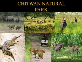 CHITWAN NATURAL
PARK