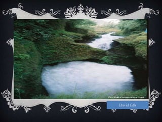 David falls
 