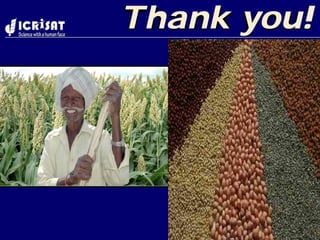 Nepal kathmandu wani